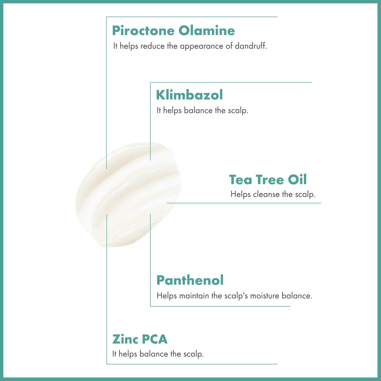 ScalpBalance™ Anti-Dandruff Purifying Shampoo - Image 4